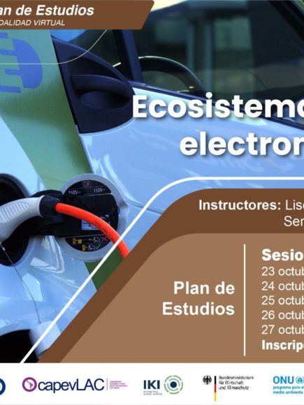Ecosistemas para la electromovilidad