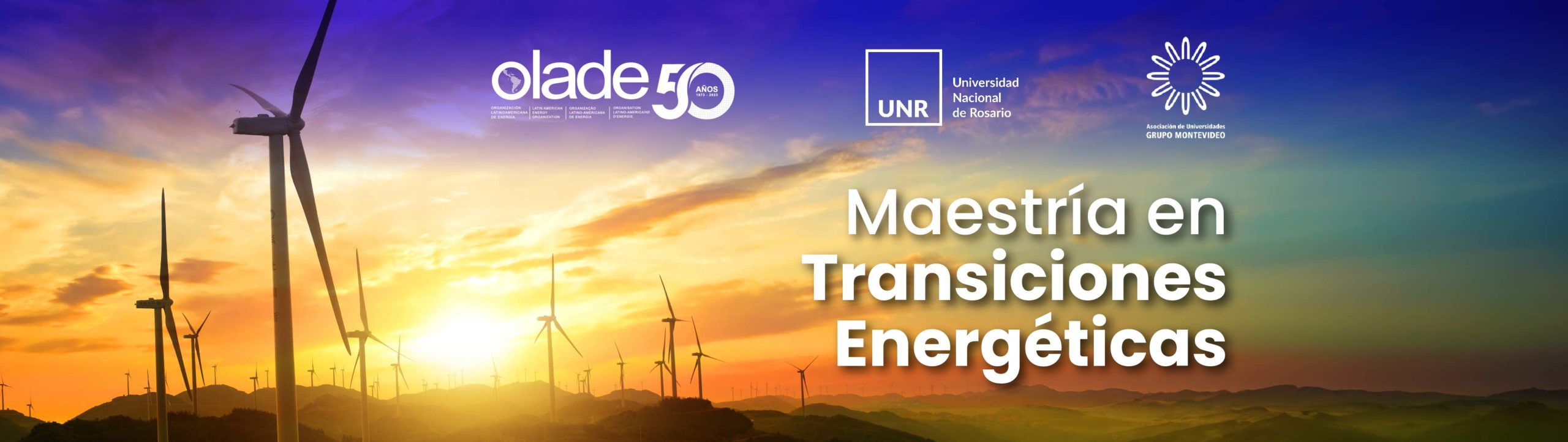 Maestría en Transiciones Energéticas – 1era Cohorte, Modalidad a Distancia