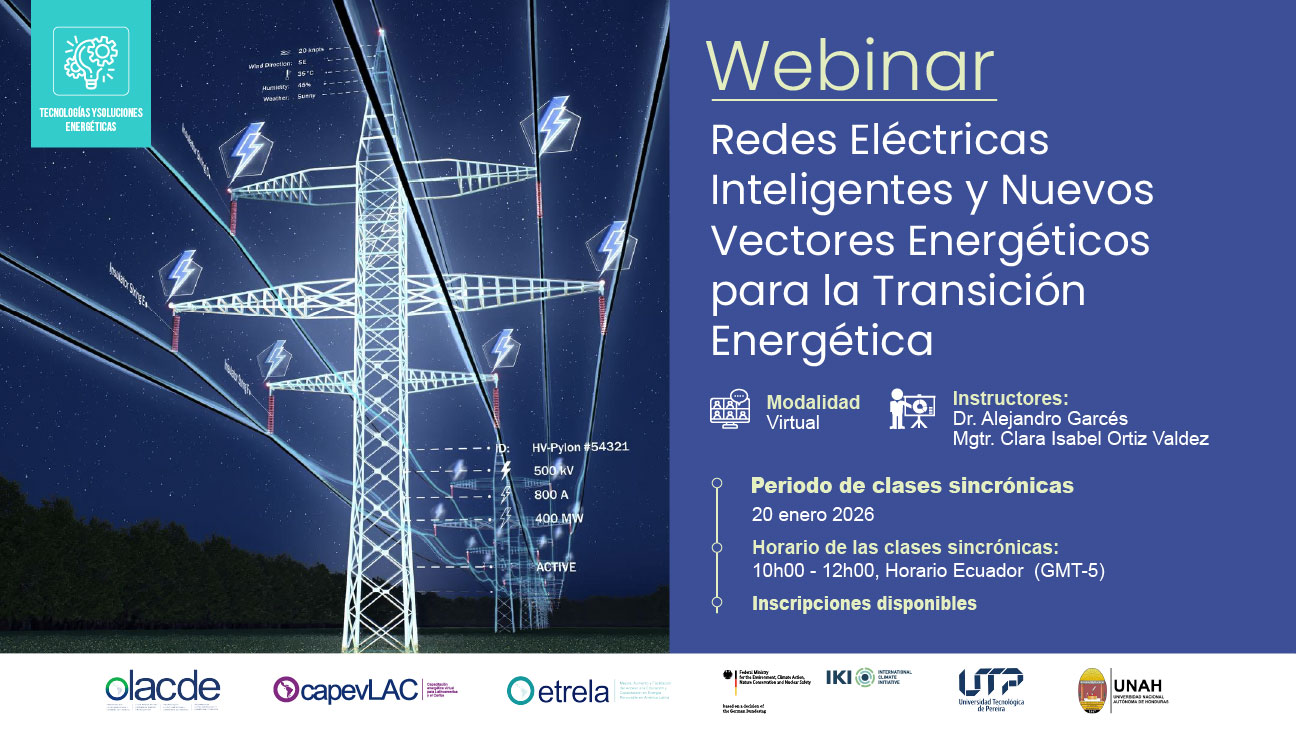 Redes Eléctricas Inteligentes y Nuevos Vectores Energéticos para la Transición Energética